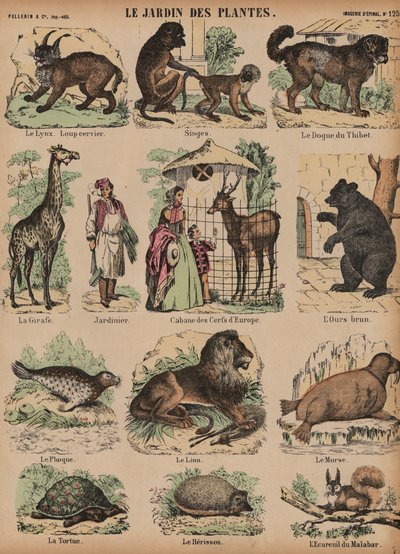 Zvířata z Jardin des Plantes, Paříž, Francie od French School