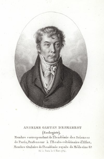 Anselme Gaetan Desmarest od French School