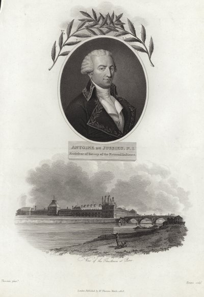 Antoine de Jussieu od French School