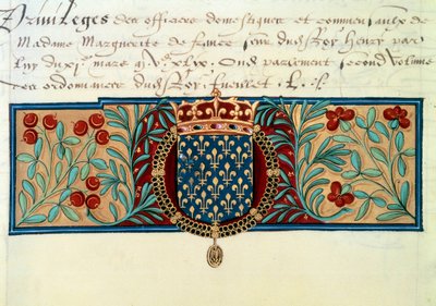 Armes de France (obklopeno náhrdelníkem řádu Saint Michel (Saint Michel) a převýšeno královskou korunou) od French School