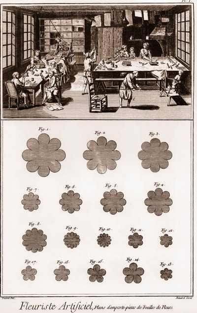 Workshop umělého květinářství: Encyklopedie nebo slovník věd, umění a povolání od Denise Diderota (1713-1784) a Jean d