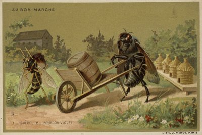 Karty Au Bon Marche s antropomorfním hmyzem od French School