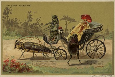 Karty Au Bon Marche s antropomorfním hmyzem od French School