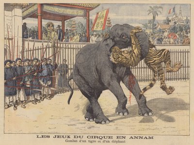 Souboj slona a tygra v cirkuse v Annamu v Indočíně (barevná litografie) od French School