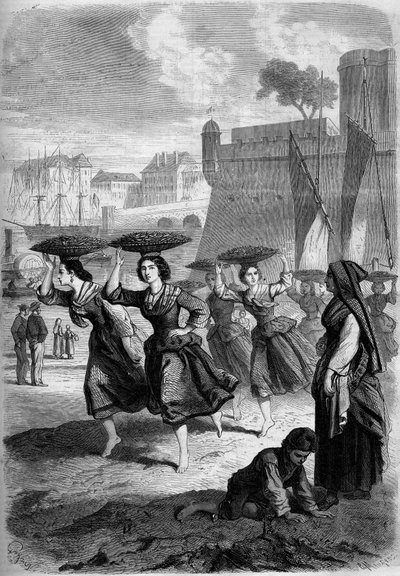 Obchodníci se sardinkami z Bayonne míří do Biarritz, Pyrenees Atlantiques (64) od French School