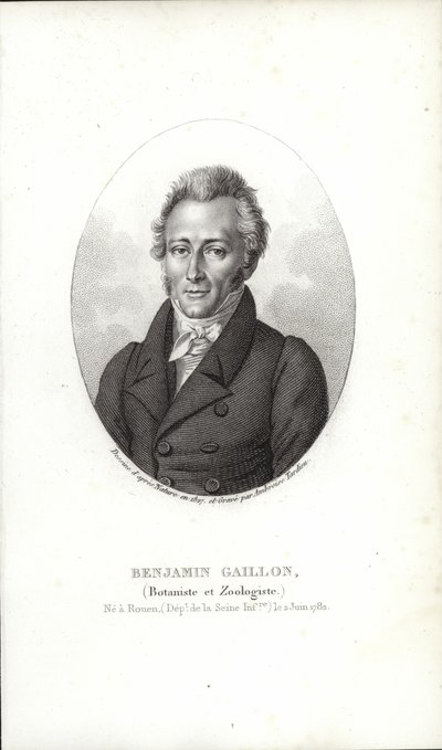 Benjamin Gaillon od French School