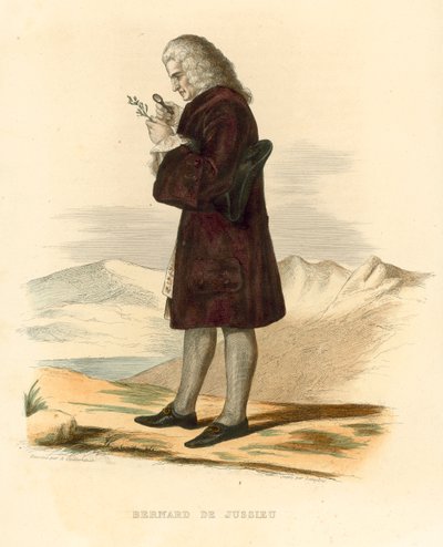 Bernard de Jussieu (barevná rytina) od French School