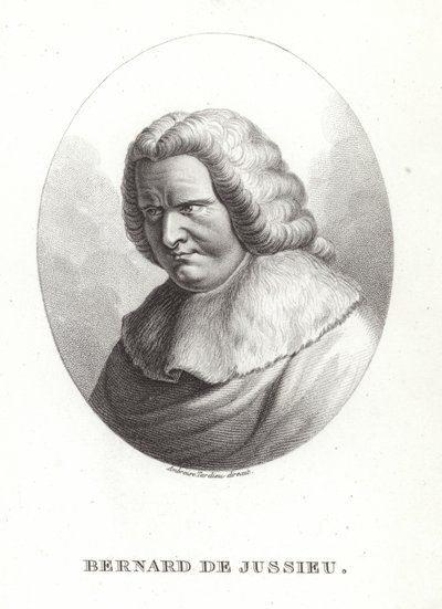 Bernard de Jussieu od French School