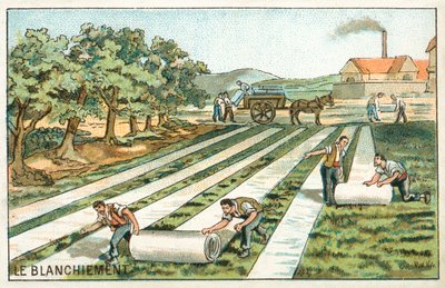 Bělení (chromolitho) od French School