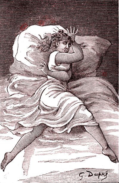Hraniční hysterie. 1887 (rytina) od French School