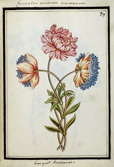Kytice sasanek, cca 1700 od French School