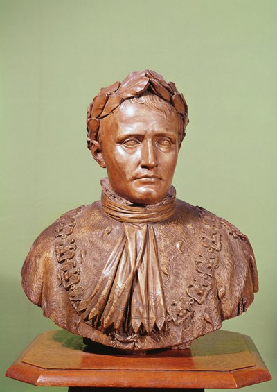 Busta Napoleona I. (1769-1821) (sádra) od French School