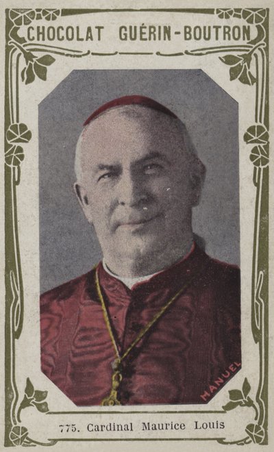 Kardinál Maurice Louis (barevná fotografie) od French School