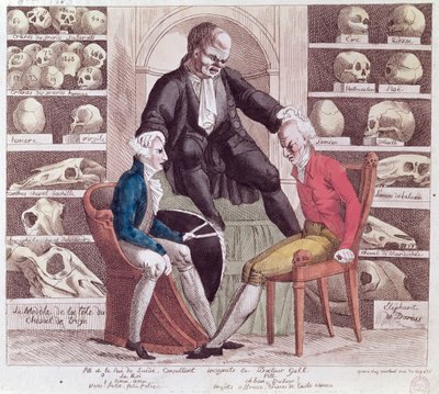 Karikatura Williama Pitta mladšího (1759-1806) a Gustava IV Adolfa (1778-1837) na návštěvě u s. Franze Josepha Galla (1758-1828) 1806 od French School