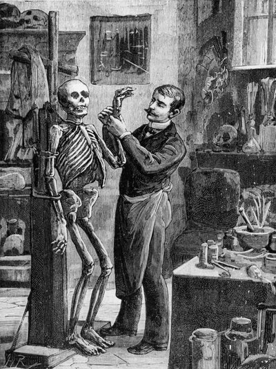 Případ Gouffé: Imaginární rekonstrukce mrtvoly Gouffé od Dr. Lacassagne - v „La Malle Sanglante“, ed. A. Fayard, Paříž, n. d. - Paříž, B.H.V.P.D. od French School