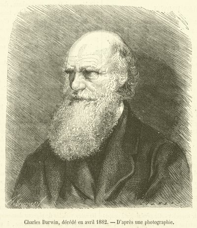 Charles Darwin, decede en avril 1882 (rytina) od French School