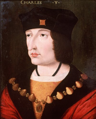 Francouzský Karel VIII od French School