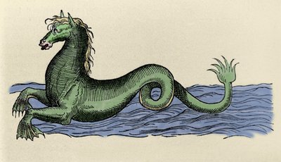 Cheval marin v „The Aquatilibus““ od French School