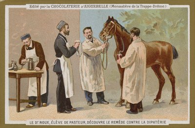 Obchodní karta Chocolat dAiguebelle od French School