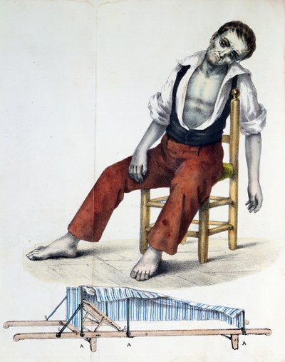 Cholera Morbus, ze vztahu, historie, statistiky a medicíny Cholera-Morbus od Francisca dAssis de Souza Vaz, 1833 od French School