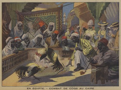 Kohoutí zápasy v Káhiře (barevné lito) od French School