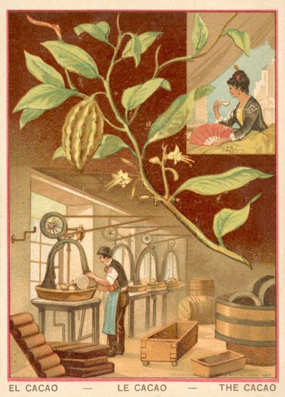 Kakao (chromolitho) od French School