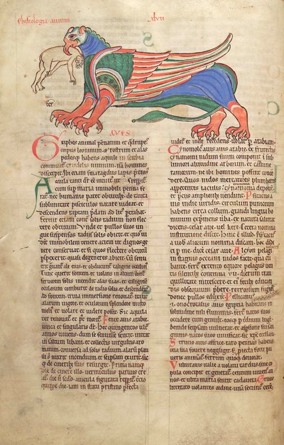 Treska. Guelf. 1 Gud. lat. 39v, Griffin Devouring a Man, z Liber Floridus od Lamberta de Saint-Omer c.1120 od French School