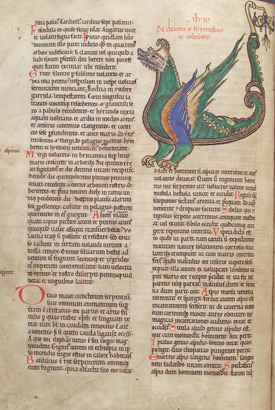 Treska. Guelf. 1 Gud. lat. 40v, text s ilustrací draka, z Liber Floridus od Lamberta de Saint-Omer c.1120 od French School