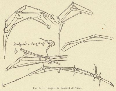 Croquis de Leonard de Vinci od French School
