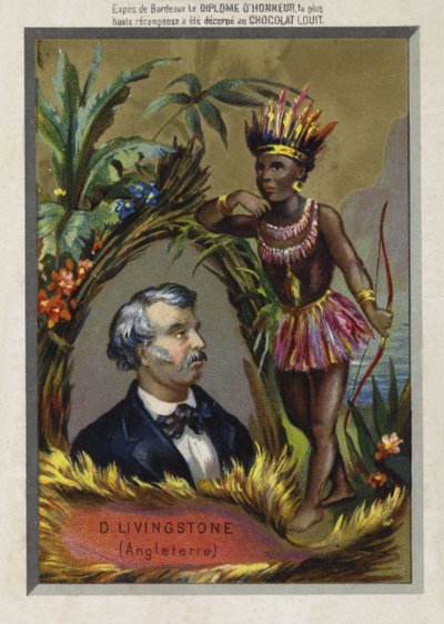 David Livingstone , skotský misionář a průzkumník od French School