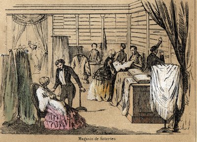 Popis kultury a hedvábných výrobků: prodejna hedvábí. Talíř “” la soie”” v “” les Recreations instructives”” Synoptický obraz od Julese DELBRUCKA, rytina z roku 1860. Soukromá sbírka. od French School