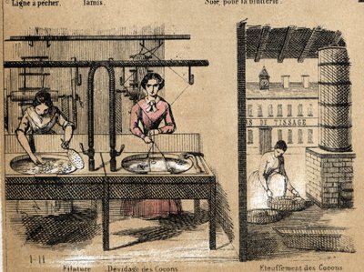 Popis plodiny a hedvábných produktů: pracovníci spřádají hedvábí, odstraňují nebo dusí kokony. Talíř “” la soie”” v “” les Recreations instructives”” Synoptický obraz od Julese DELBRUCKA, rytina z roku 1860. Soukromá sbírka. od French School
