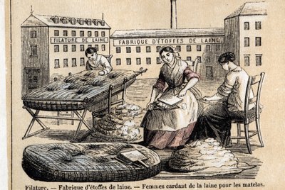 Popis různých použití a produktů z ovcí: pracovníci mykání vlny na matrace na dvoře továrny. Deska “” Les moutons”” v “” les Recreations instructives”” Synoptický obraz od Julese DELBRUCKA, rytina z roku 1860. Soukromá sbírka. od French School