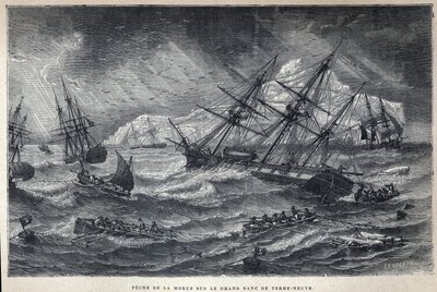 Objevená Kanada: Lov tresky na Grand Bank of Newfoundland, Newfoundland. Rytina z konce 19. století v „La nouvelle France“ od Eugena Guenina. od French School