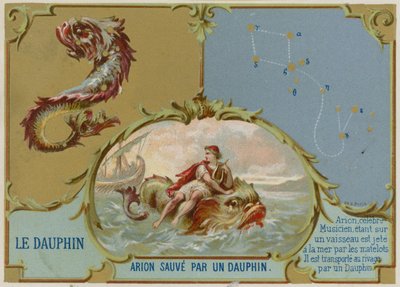 Delfín - Arion je zachráněn delfínem od French School