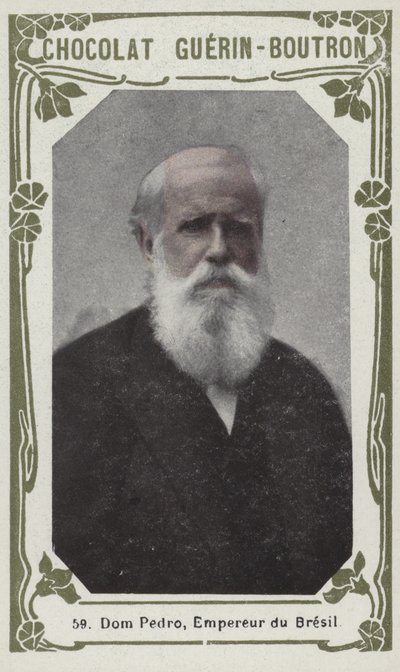 Dom Pedro, brazilský císař (barevná fotografie) od French School