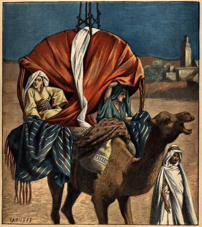 Dromedár využívá jako dopravní prostředek. Tunisko, Afrika od French School