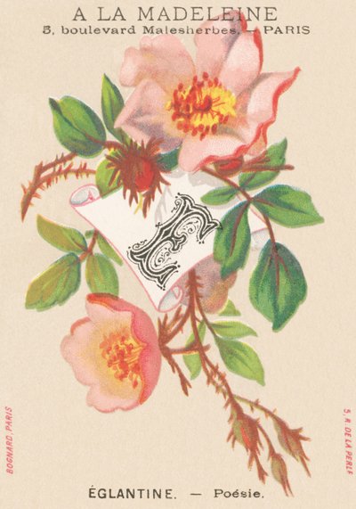 E: Eglantine - Poezie od French School