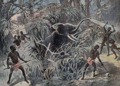 Lov slonů v Africe. Slon spadne do jámy, než bude ukončen šípy. Rytina v “” Le Pelerin”” 22/01/1899. od French School