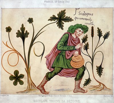 Esculapus najde betoneum (léčivá rostlina) od French School