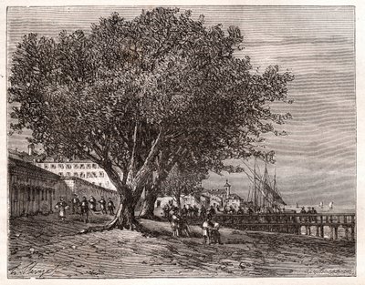 Evian-les-Bains (Evian les Bains) - Haute-Savoie - rytina v „Francie ilustrovaná: geografie, historie, statistická správa“ od V.-A. Sladově hnědá. 1884 od French School