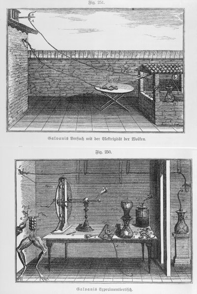 Experiment na žábách od Louise Galvaniho (1737-98) koncem 18. století od French School