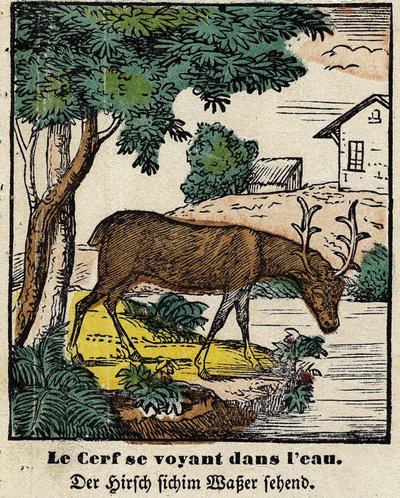 Bajky de La Fontaine: jelen se vidí ve vodě. Obrázek Epinal, první polovina 19. století od French School