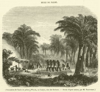 Výroba palmového oleje ve Whyda, Guinea, Slave Coast (rytina) od French School