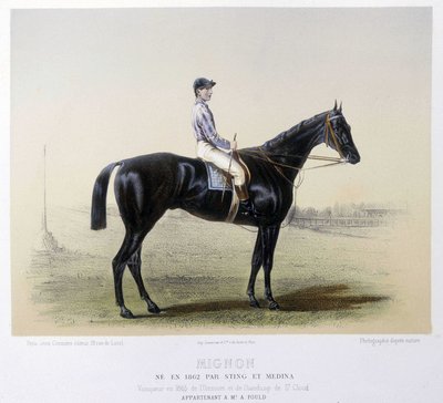 Slavný dostihový kůň - v "Kentaur"" 1866 od French School
