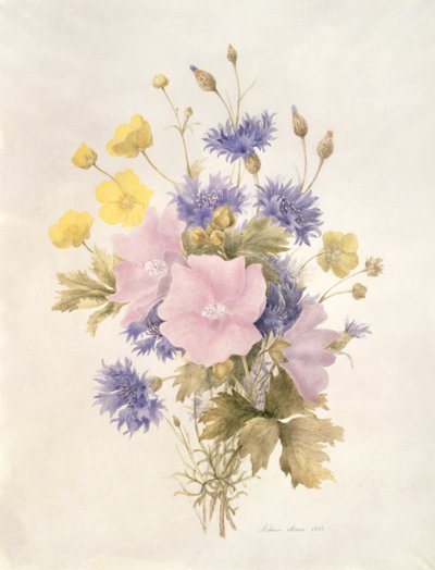 Field Flowers, 1842 (wc na papíře) od French School