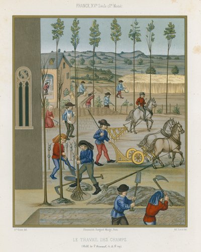 Práce v terénu od French School