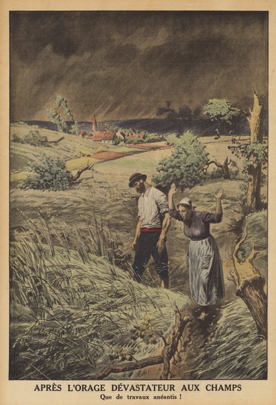 Pole zdevastovaná bouřkou ve Francii (barva litho) od French School