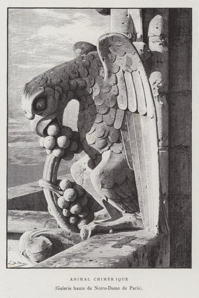 Postava chimérického zvířete, z horní galerie Notre Dame de Paris (litho) od French School
