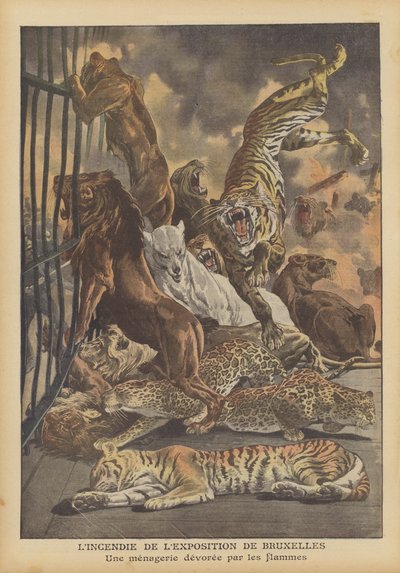 Požár na mezinárodní výstavě v Bruselu v roce 1910 (barevné lito) od French School